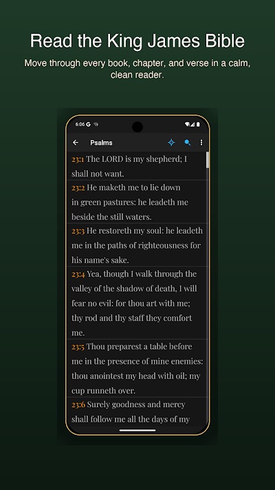 Word Rhythm: KJV Bible — screenshot 2