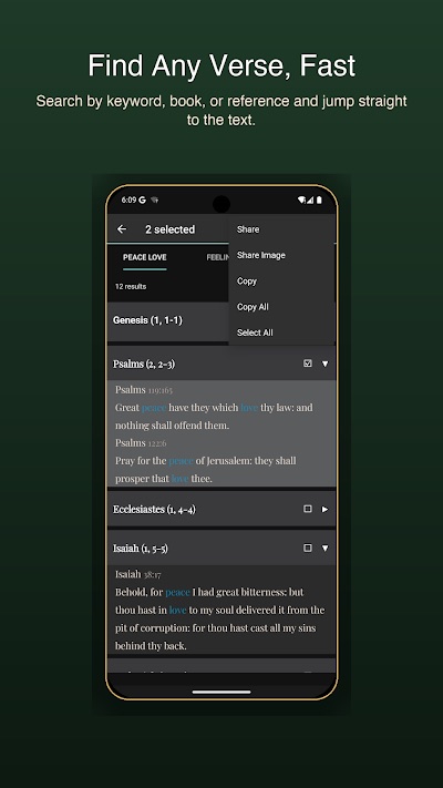 Word Rhythm: KJV Bible — screenshot 3