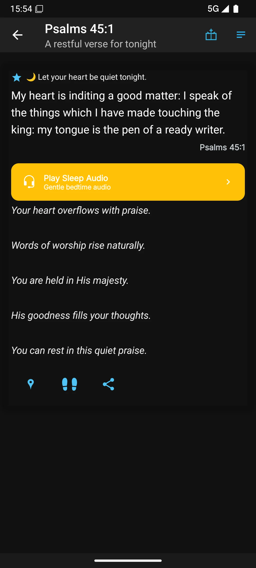 Sleep audio entry screen